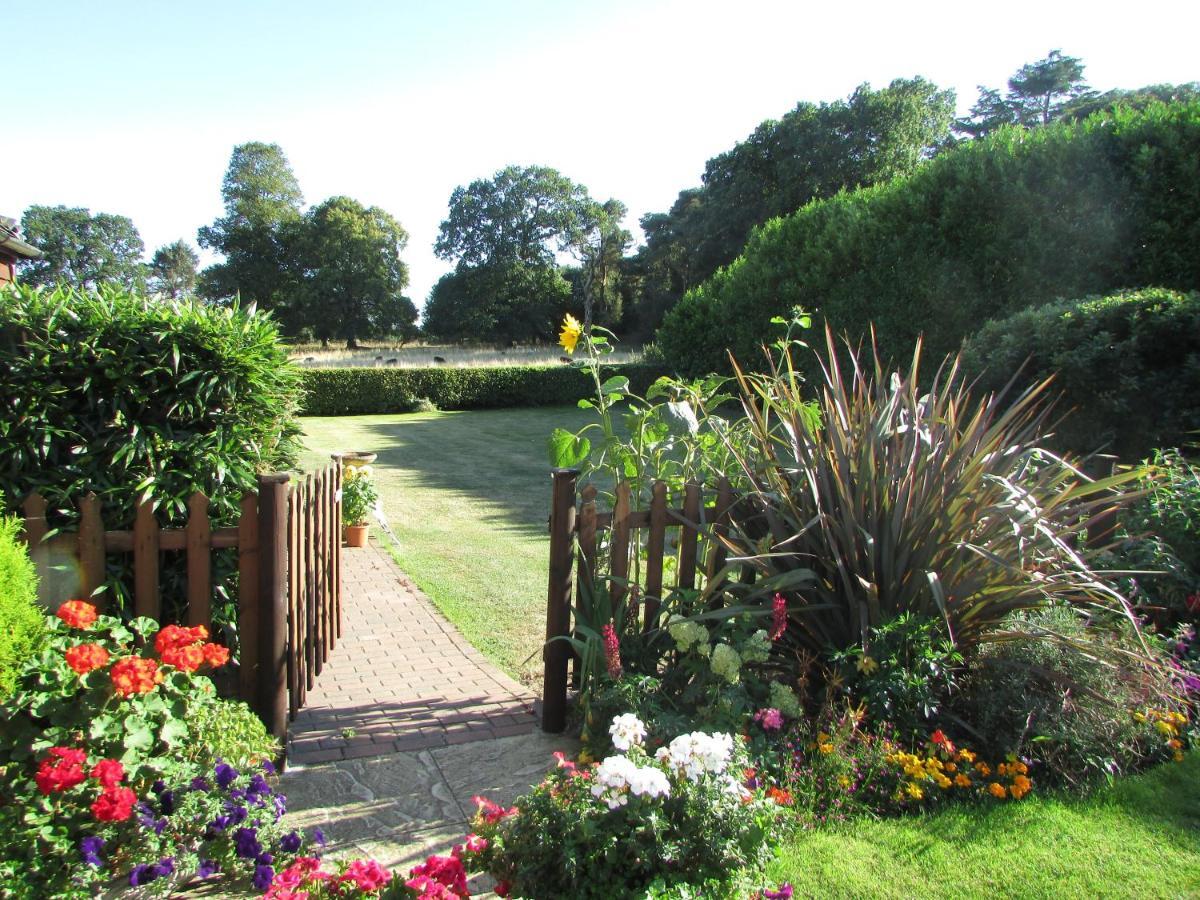 Decoy Barn Fritton Bed & Breakfast Dış mekan fotoğraf